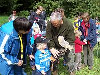 (100 von 243) : KIGA Hausen Waldwoche